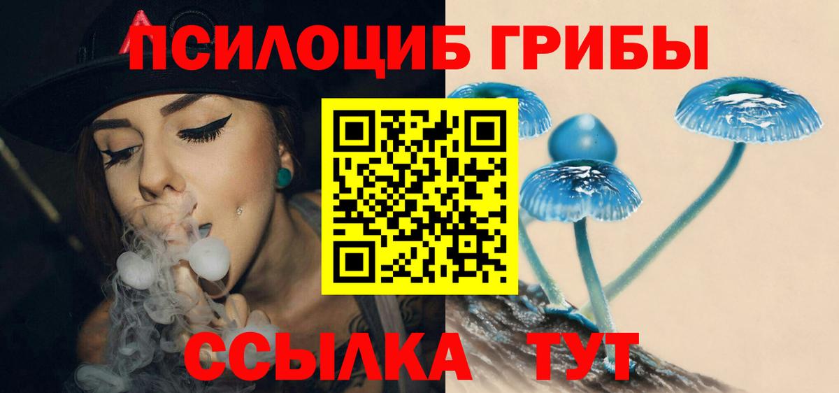 Галлюциногенные грибы MAGIC MUSHROOMS  Вход с VPN  Котельники  Галлюциногенные грибы Psilocybe 